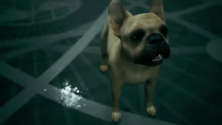 00K9: No Time to Shed