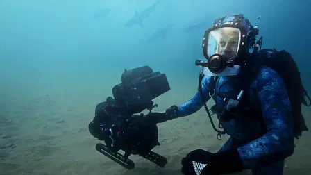 Au plus près des requins avec Bertie Gregory
