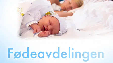 Fødeavdelingen