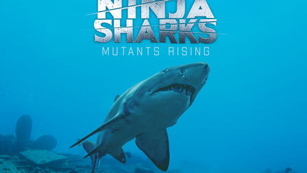 Ninja Sharks 2 - Neue Jäger der Tiefe