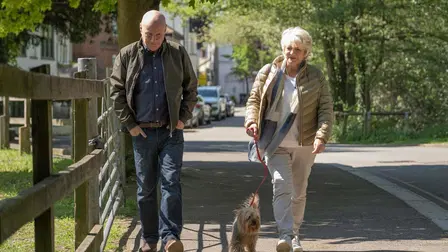 Sidste strejf af kærlighed