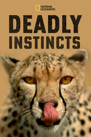 Deadly Instincts