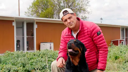 Wild Frank ¿Perros Peligrosos?