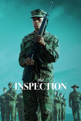 The Inspection