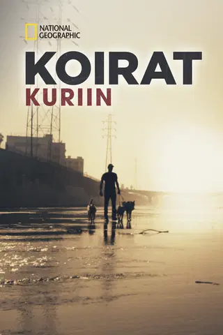 Koirat kuriin