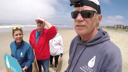 Sea Lion Medics