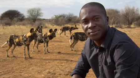 Dogs: An Amazing Animal Family