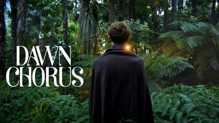 Dawn Chorus