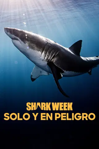 Sobreviví al tiburón