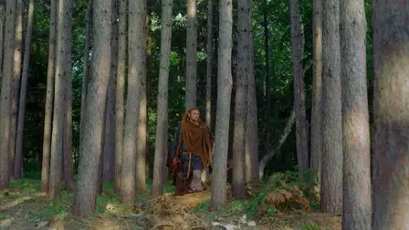 Vikings: Journey to New Worlds