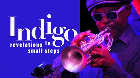 Indigo Revelations In Small Steps