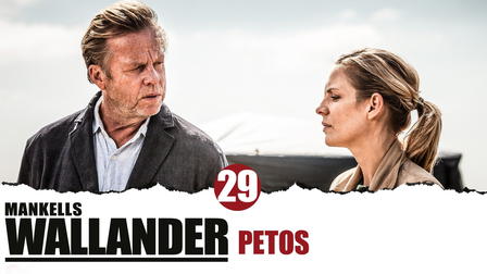Wallander: The Betrayal