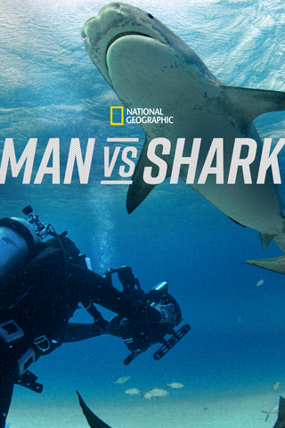 Man vs. Shark