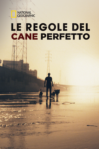 Le Regole Del Cane Perfetto