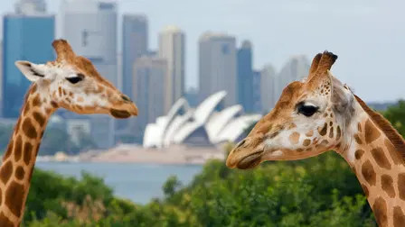 Inside Taronga Zoo