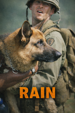 Rain (Spanish)