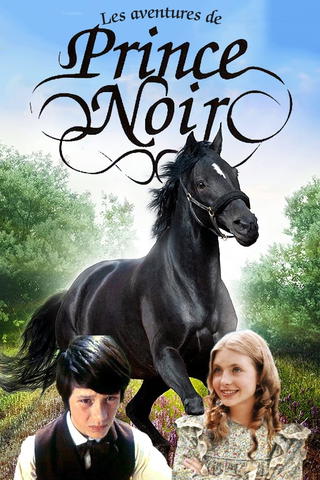 Les Aventures de Prince Noir