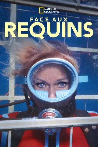 Face aux requins