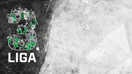 Alle zusammen - SC Preußen Münster