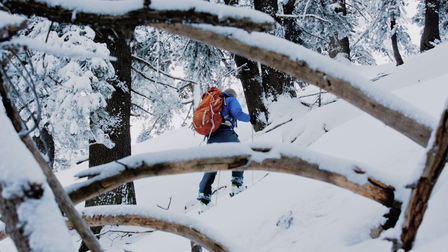 Frozen Ambrosia: A Winter Adventure in Greece