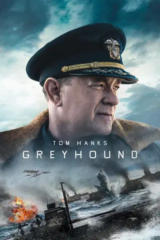 Greyhound