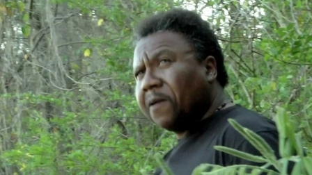 Runaway Slave