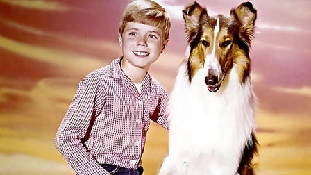 Lassie: The New Beginning