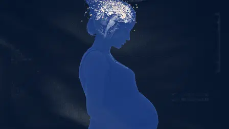 Baby Brain: What's Really Going On?