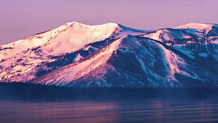 Cutthroat: The Race To Save Yellowstone