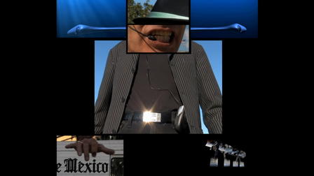 Scammerhead