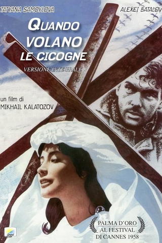 Quando volano le cicogne