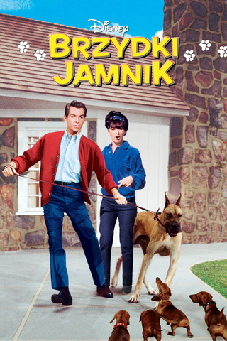 Brzydki jamnik