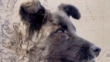 Perros del fin del mundo