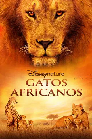 Gatos Africanos