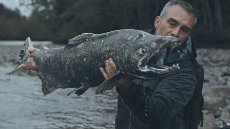 Die letzten Giganten: Riesenfische