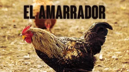 El amarrador
