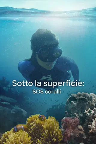 Beneath the Surface: The Fight for Corals
