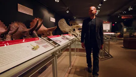 Ancient Yellowstone: Force of Nature