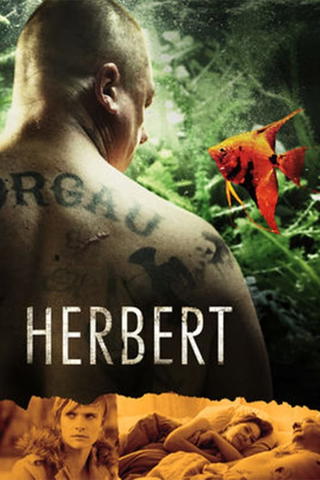 Herbert