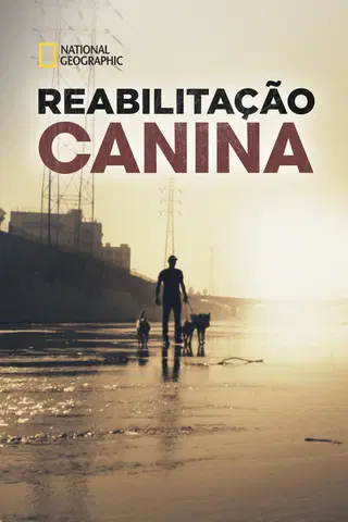 Reabilitação Canina