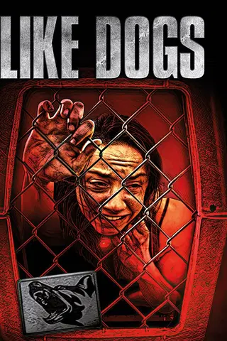 Like Dogs