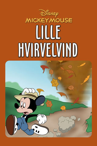 Lille hvirvelvind
