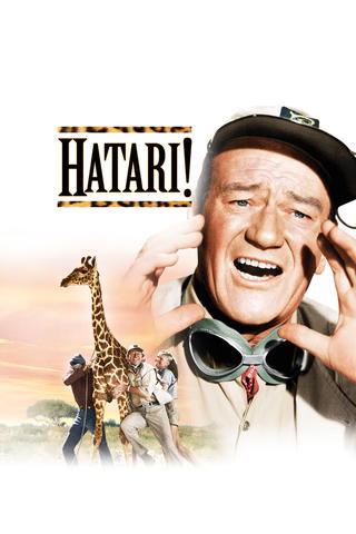 Hatari