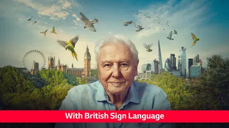 Wild London - Signed