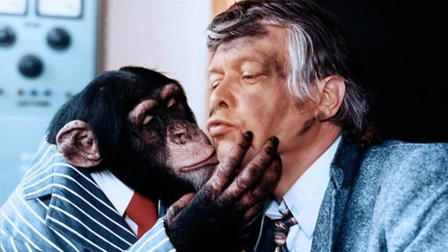 Meine Tochter – Deine Tochter