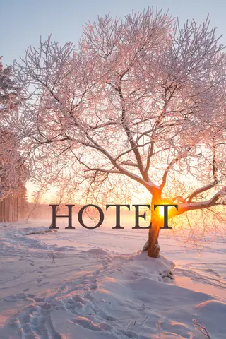 Hotet