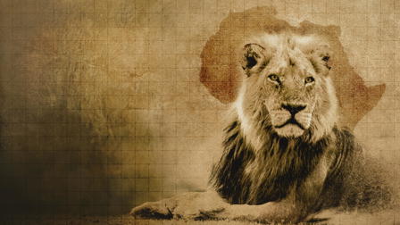 Into the Pride Lands