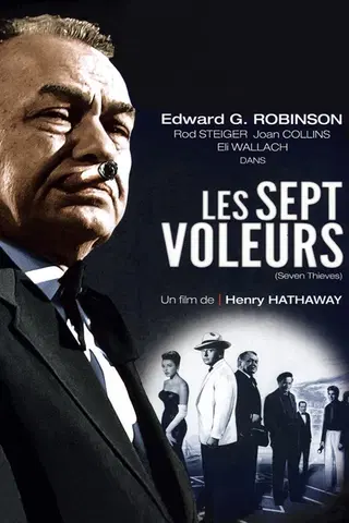 Les Sept Voleurs