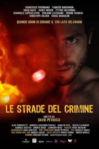 Le strade del crimine. Crime Paths.
