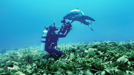 Return to the Isle of Jaws